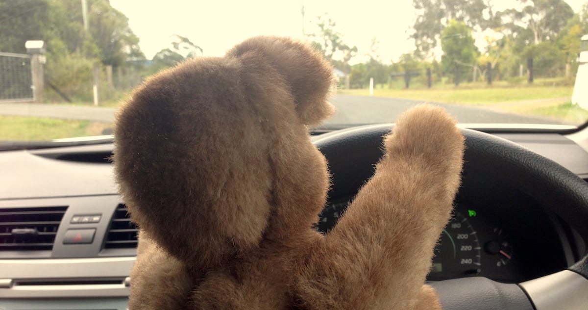 teddy bear
